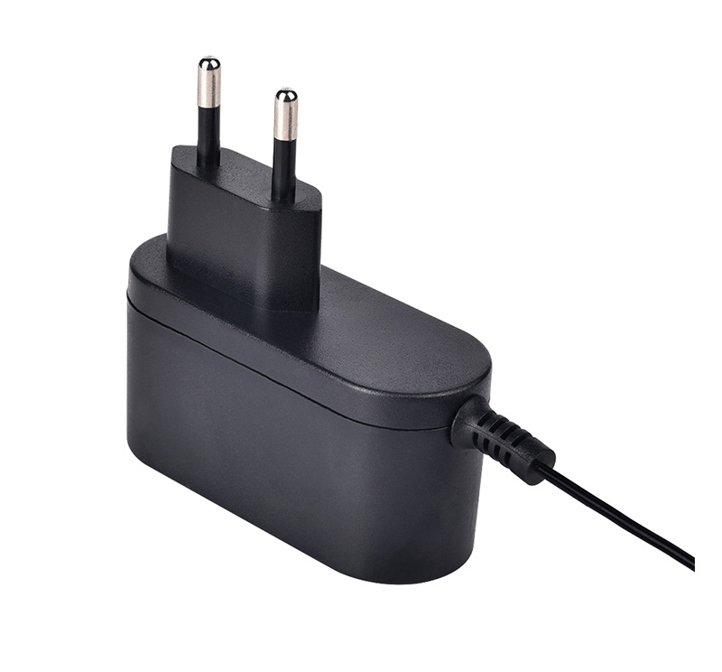 6v 1amp power adapter